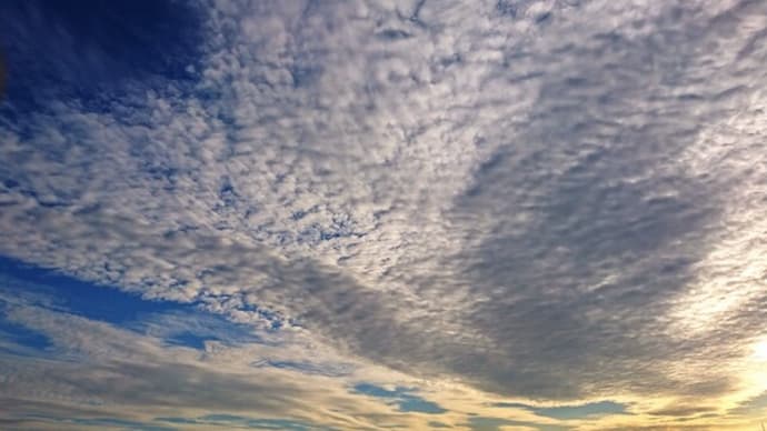 空っぽの頭の中を搔きまわすモノ