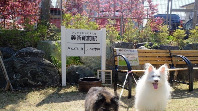 森のカフェ&芝桜
