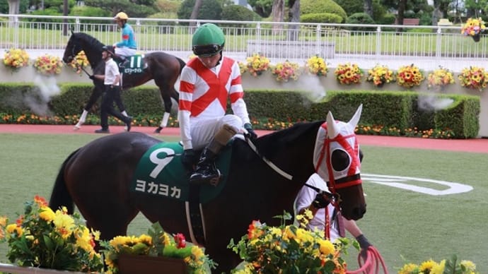 熊本が産んだ快速馬 ヨカヨカ
