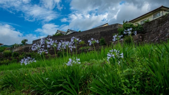 里山の風景