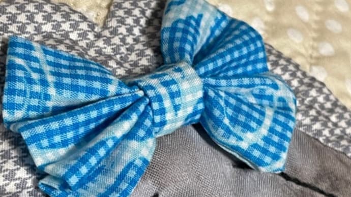 フレンドシップキルト(ペット)完成