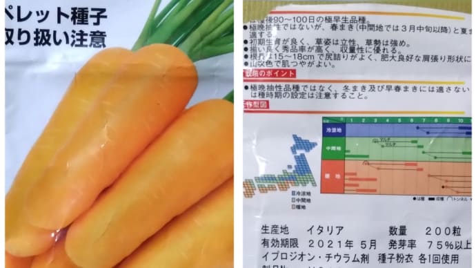 牛乳パックに種まいた