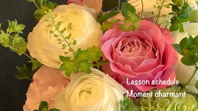 Lesson schedule