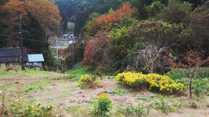 私の里山