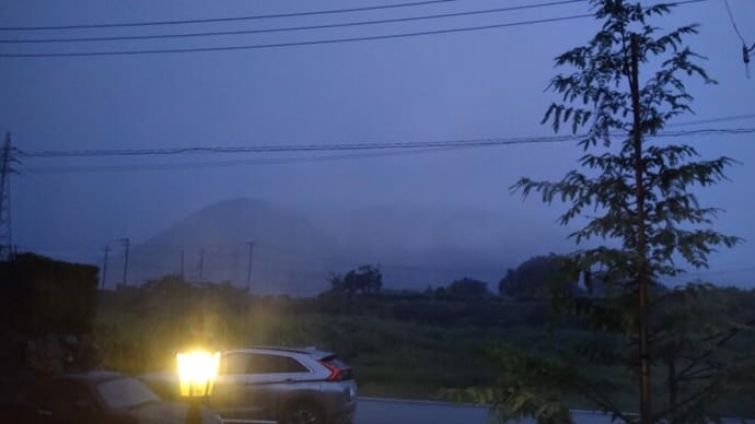ツバメの子がいない台風ニュースの空