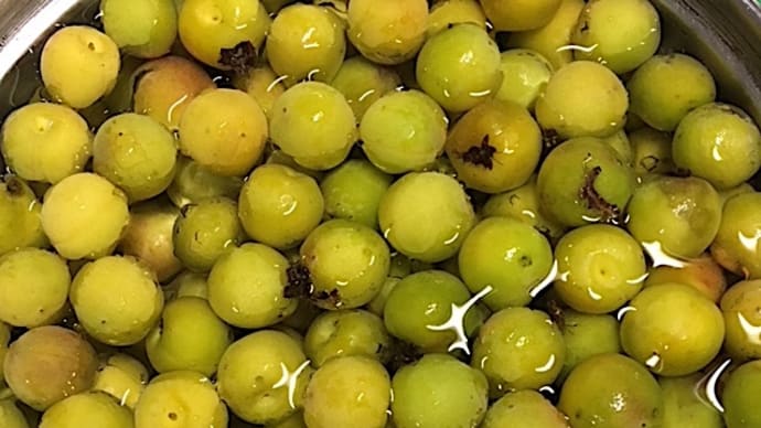梅干しは自分で作るべき!
