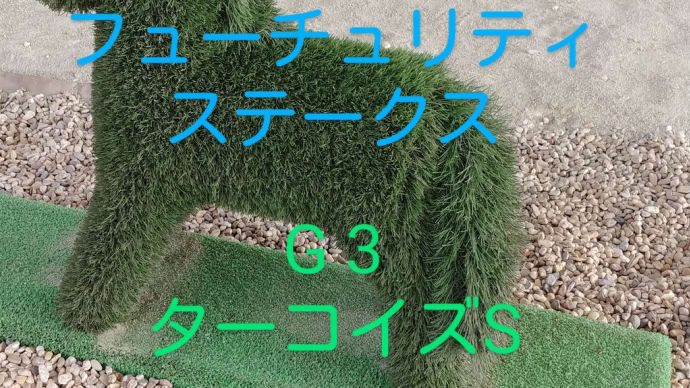 競馬G1 朝日杯フューチュリティステークス G3ターコイズステークス 狙ってみたい馬