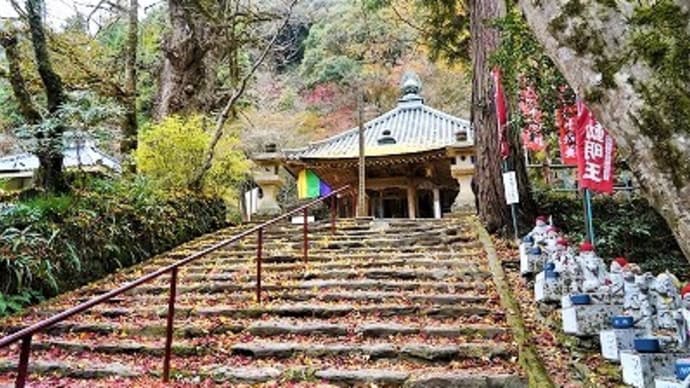 今年最後の紅葉撮影3(龍蔵寺)
