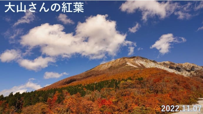 大山さんの紅葉 11月7日