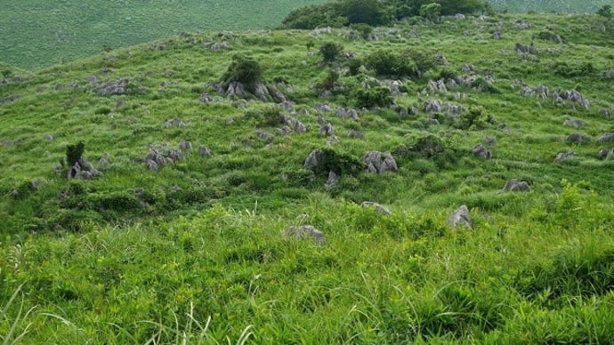 灼熱の地獄台でカキラン観賞