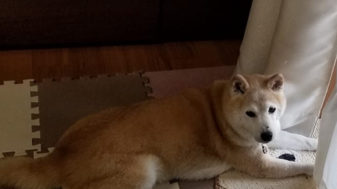 日焼けしただろうな~の1日