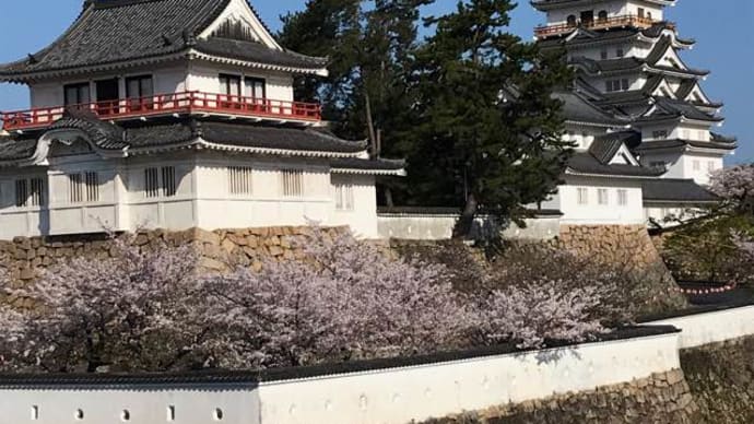 今日も元気に参勤交代