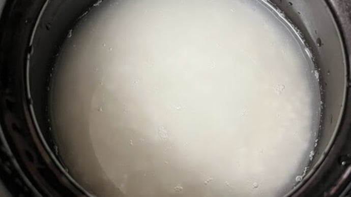 コマキンパ(韓国風海苔巻き)