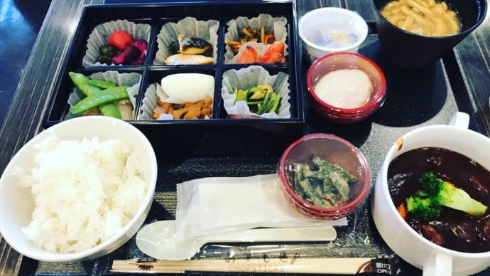 牛タンシチュー和食弁当！！
