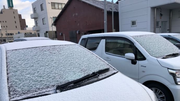 雪だー