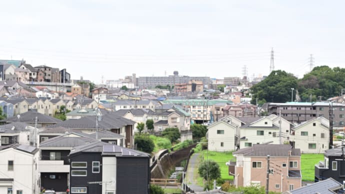 08月06日 ギリ30℃を越えていない日。