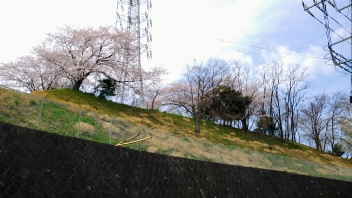春のうららの恩田川