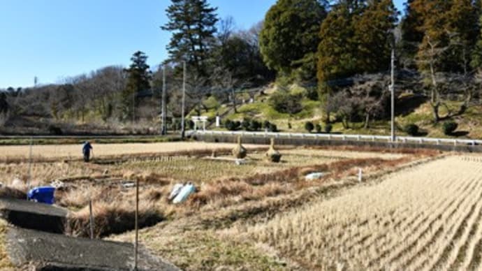 寺家の森