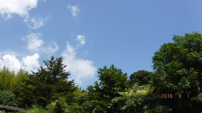 まだまだ整備は続きます。