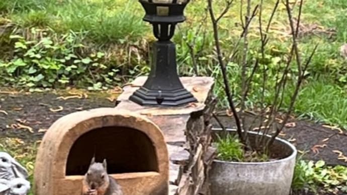 萌える緑と小さな生き物たちに・・・信州・妙義山春旅2023<1>