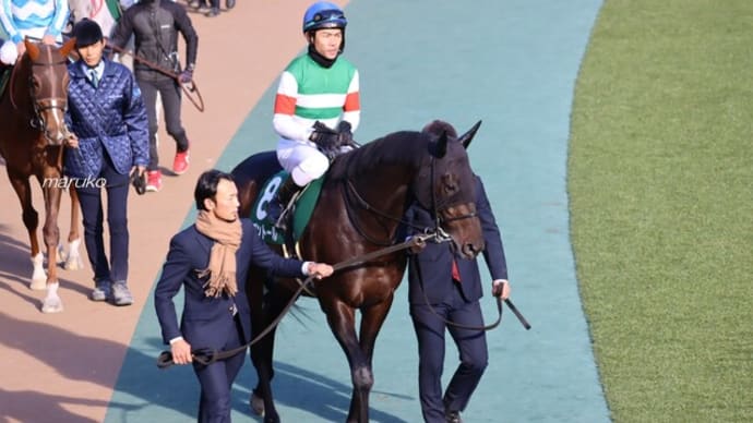 真冬の競馬3