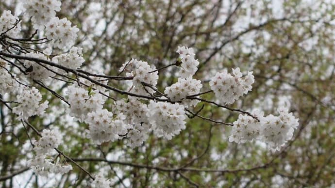 自分を振り返る日になればと
