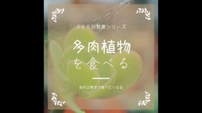 多肉植物食べてる~?編/365日野菜シリーズ
