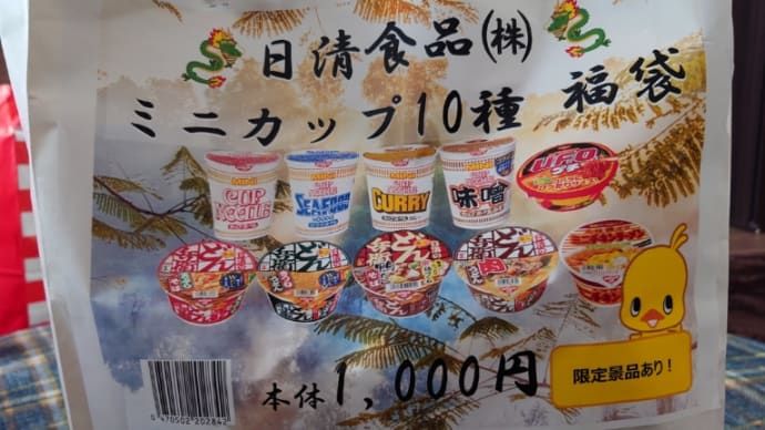 日清食品 ミニカップ10種福袋