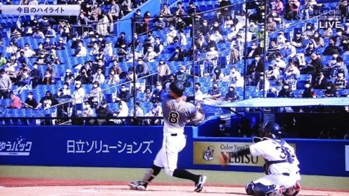 阪神ファンで、宝塚も好きで・・・。