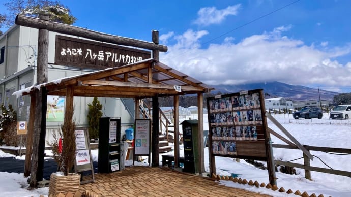 2024/3/20 八ヶ岳アルパカ牧場 開園