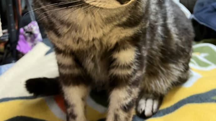 失敗もブログネタ