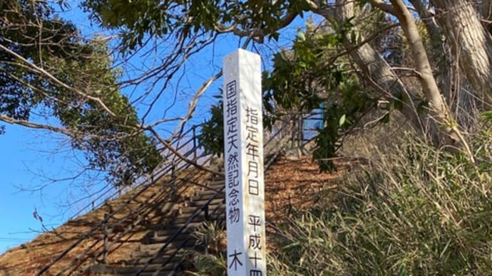 印西の木下貝層へ