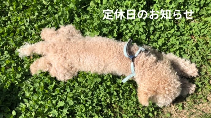 選挙ポスター