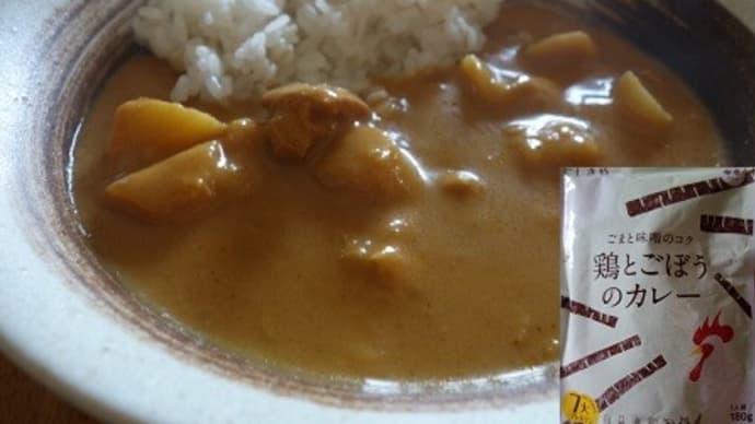 にしきや 鶏とごぼうのカレー