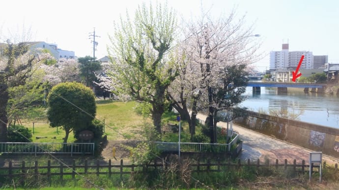 東海道線静岡市は清水区の沿線風景・・（２０２４年４月１４日）