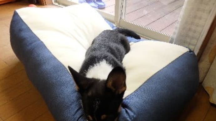 ベッド。
