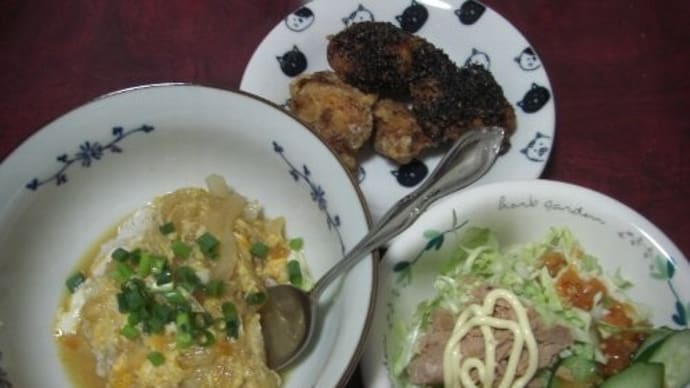 今日のお昼ご飯~♪たまご丼と、から揚げと、サラダ~♪
