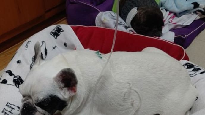 点滴
