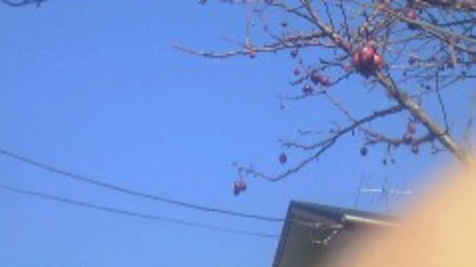 いい天気(^O^)/