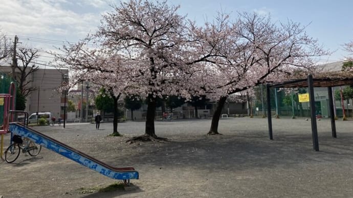 貝塚公園の花植えに必要な腐葉土を貰いました(^^)/