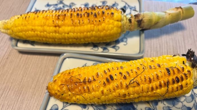 トウモロコシの季節です!