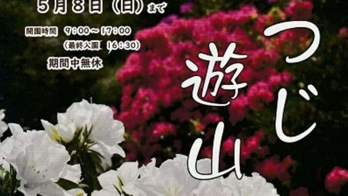 つつじ遊山@相楽園