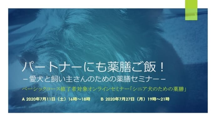 オンラインウェビナーあれこれ【時系列でまとめました！】