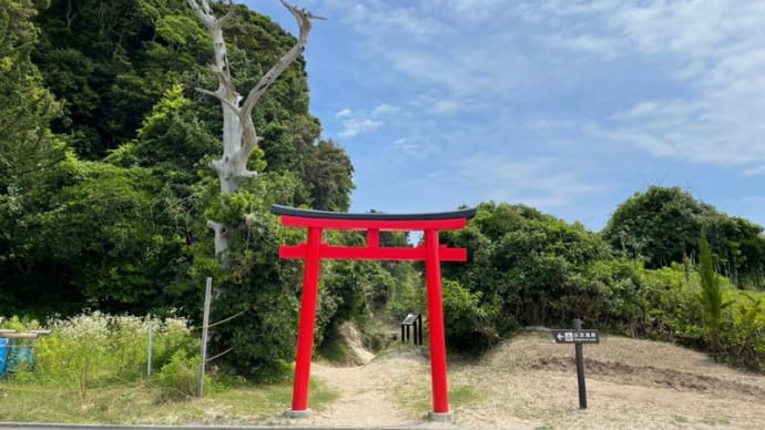 がちゃこさんからご朱印を送って頂きました。伊古奈比咩命神社、輪王寺、了仙寺、二荒山神社。