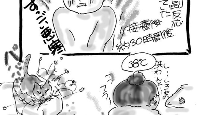 準備万端の落とし穴