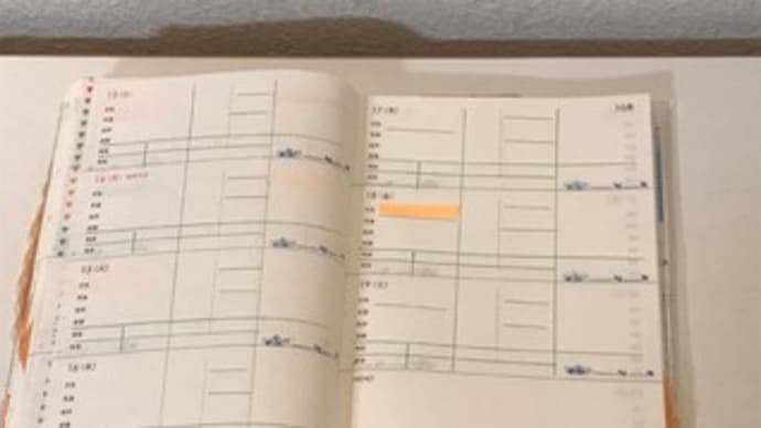 肩が治ったらの「ウィッシュリスト」(笑)〜「2019・主婦日記」の第42週目〜 & 鎖骨骨折生活9日目