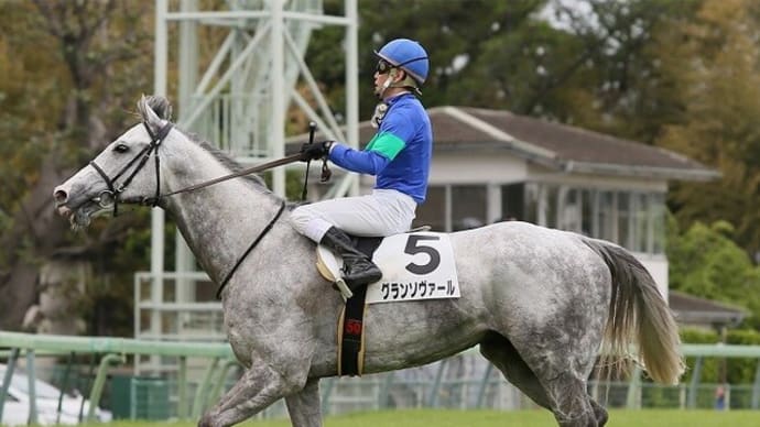 【グランソヴァール】障害2戦目は6/12東京1R