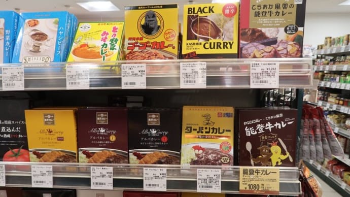 ’23.2月金沢旅行⑫~お土産は金沢カレー