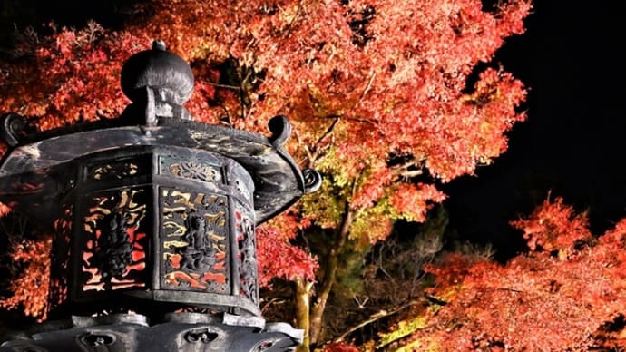 八角灯篭と紅葉ライトアップ　～仁和寺・紅葉残照　②