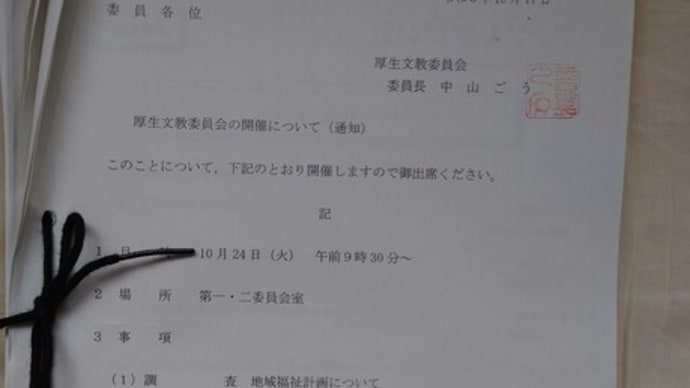 資料多すぎ~😿(10/24厚生文教委員会)